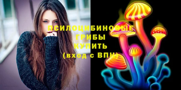 ECSTASY Богородицк