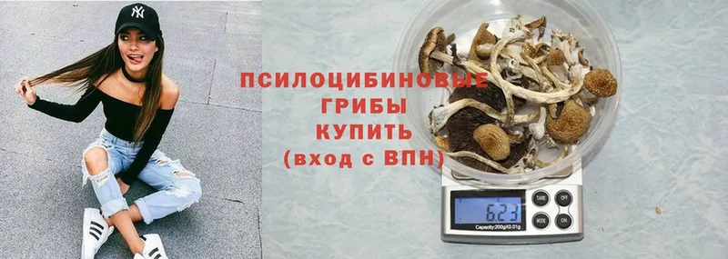 MEGA как зайти  Черноголовка  Галлюциногенные грибы MAGIC MUSHROOMS  цены  